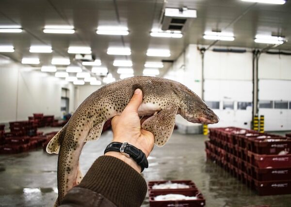 Photo by Paul Einerhand on Unsplash