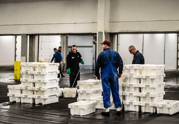 Photo by Paul Einerhand on Unsplash