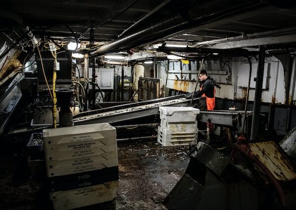 Photo by Paul Einerhand on Unsplash