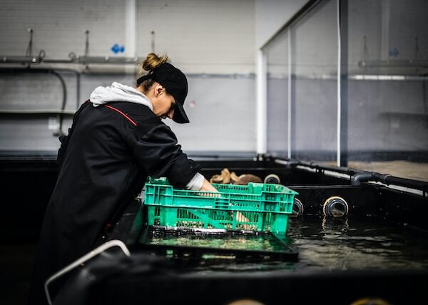 Photo by Paul Einerhand on Unsplash