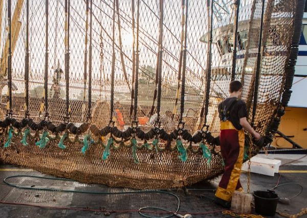 Photo by Paul Einerhand on Unsplash